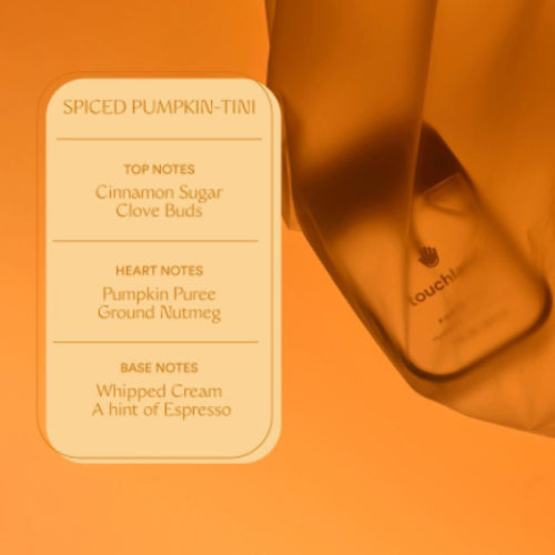 ANTIBACTERIAL POWER MIST SPICED PUMPKIN TINI - TOUCHLAND - Adrissa Beauty - ANTI-BACTERIAL