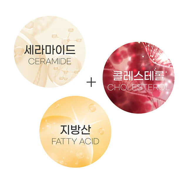 CREMA HIDRATANTE SOYBEAN PANTHENOL 60ML - ROUND LAB - Adrissa Beauty - Cuidado de la piel