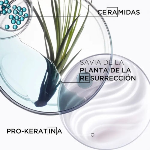 SHAMPOO RESISTANCE BAIN FORCE ARCHITECTE 250ML - KERASTASE - Adrissa Beauty - Cuidado capilar