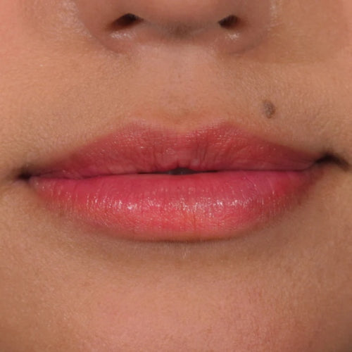 LABIAL MARCADOR LIP STAIN LIS02 ORCHID - PALLADIO - Adrissa Beauty - LABIAL