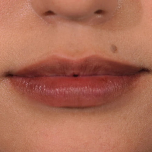 LABIAL MARCADOR LIP STAIN LIS04 NUDE - PALLADIO - Adrissa Beauty - LABIAL