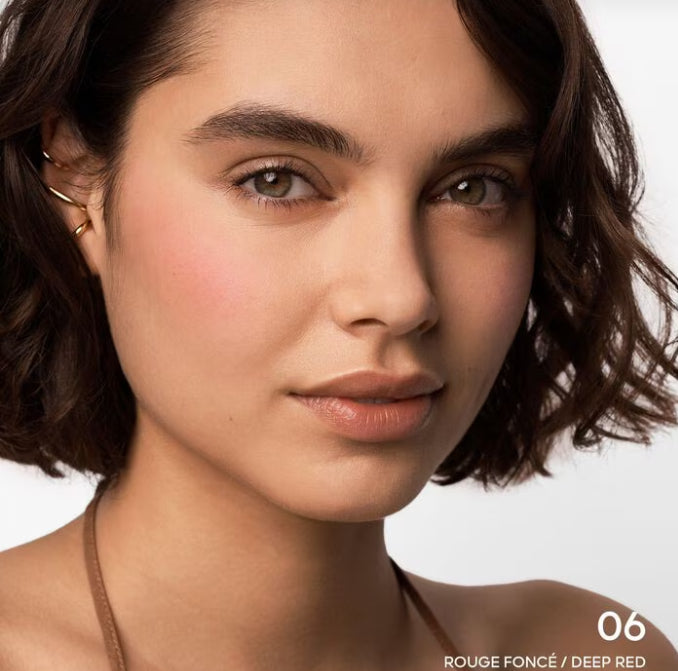 RUBOR TERRACOTA THE NATURAL GLOW 06 ROUGE FONCE