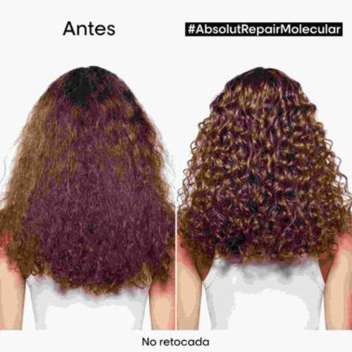 SHAMPOO ABSOLUT REPAIR MOLECULAR 1500ML