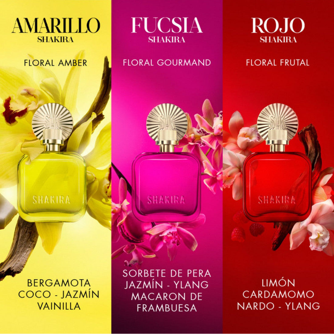 AMARILLO EDP 80ML D